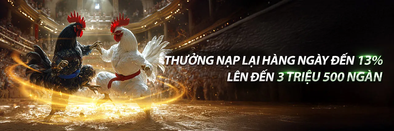 Đá gà trực tiếp Q888 trường gà online đỉnh cao